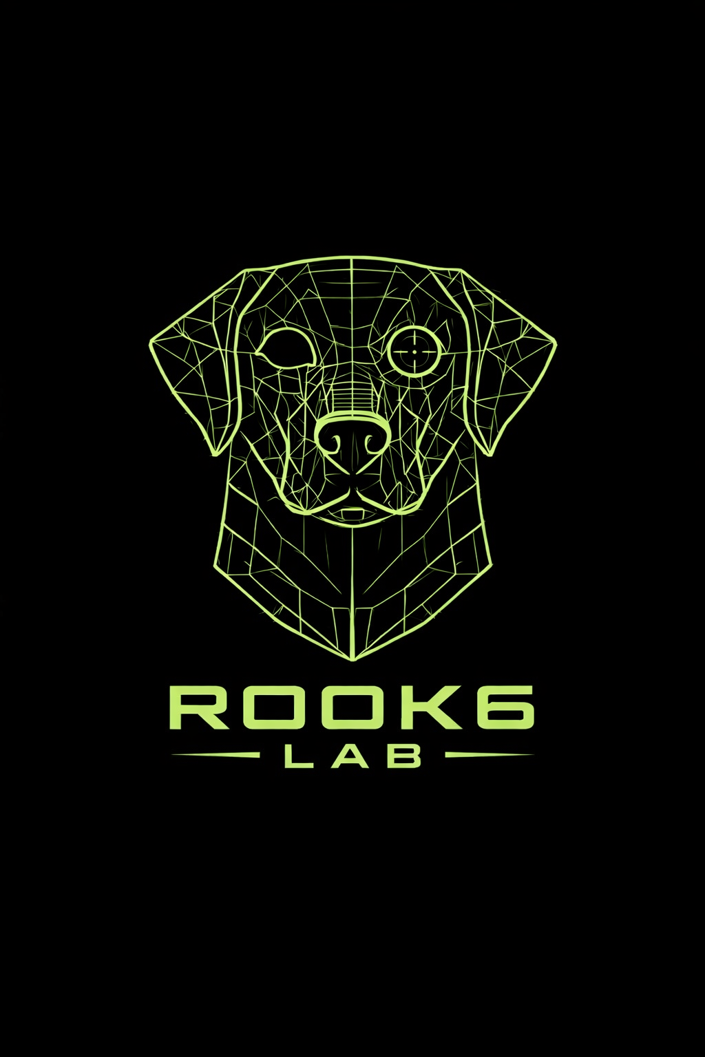 Rook6 Lab